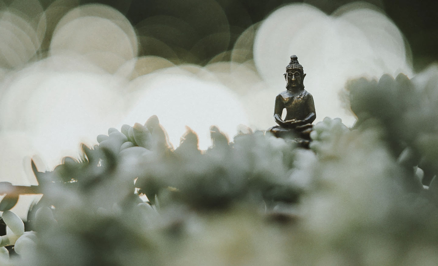 zen