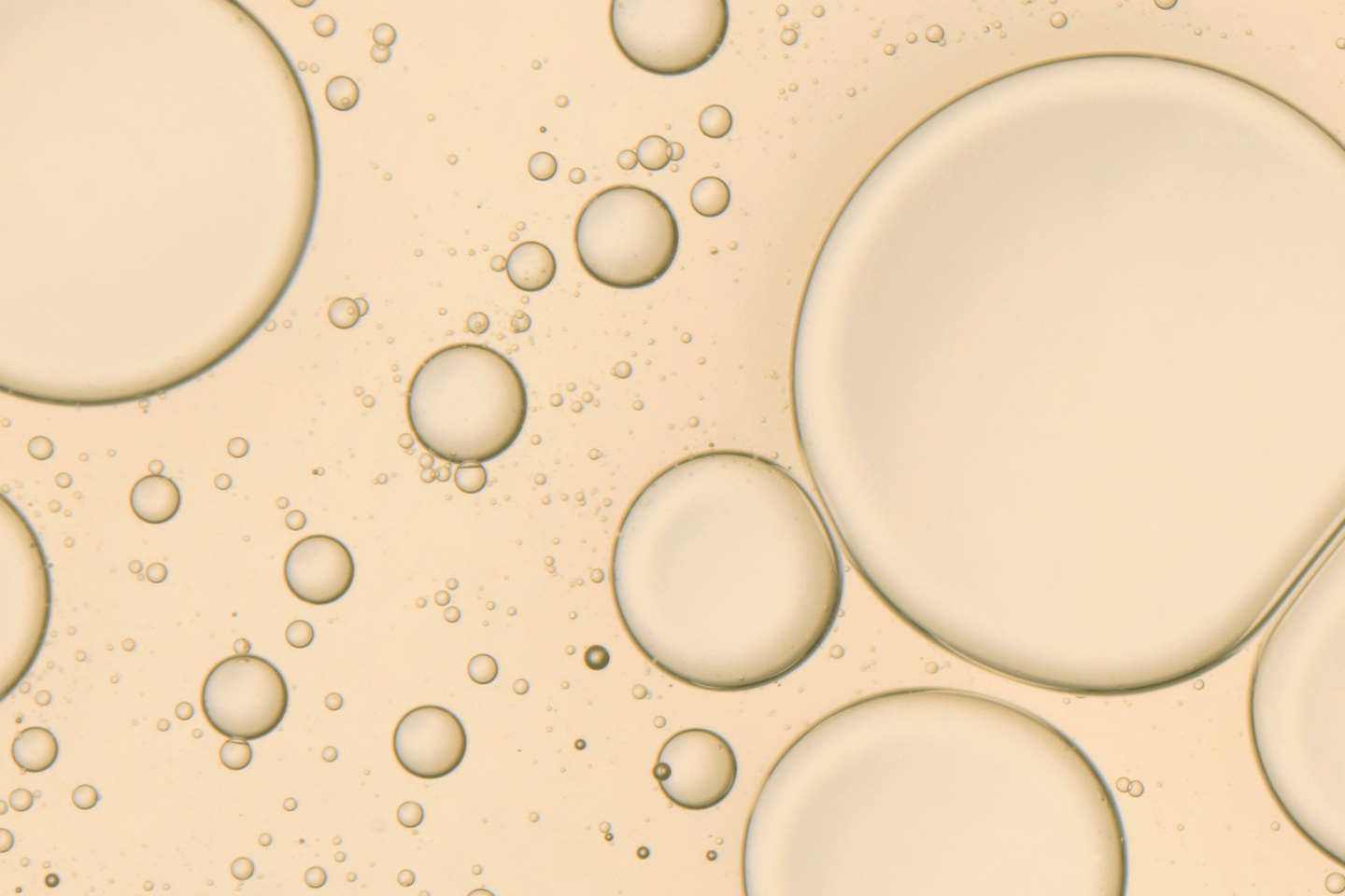 02-2022-Q1-WELLNESS-ESSENTIAL-OILS-200pc-DESKTOP