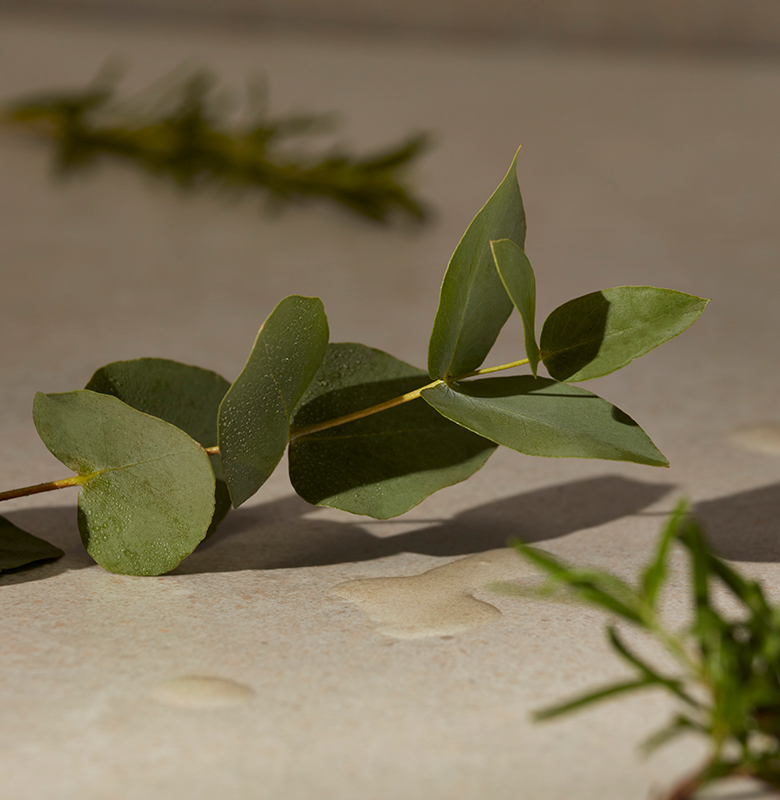 09-2022-Q1-WELLNESS-ESSENTIAL-OILS-200pc-DESKTOP