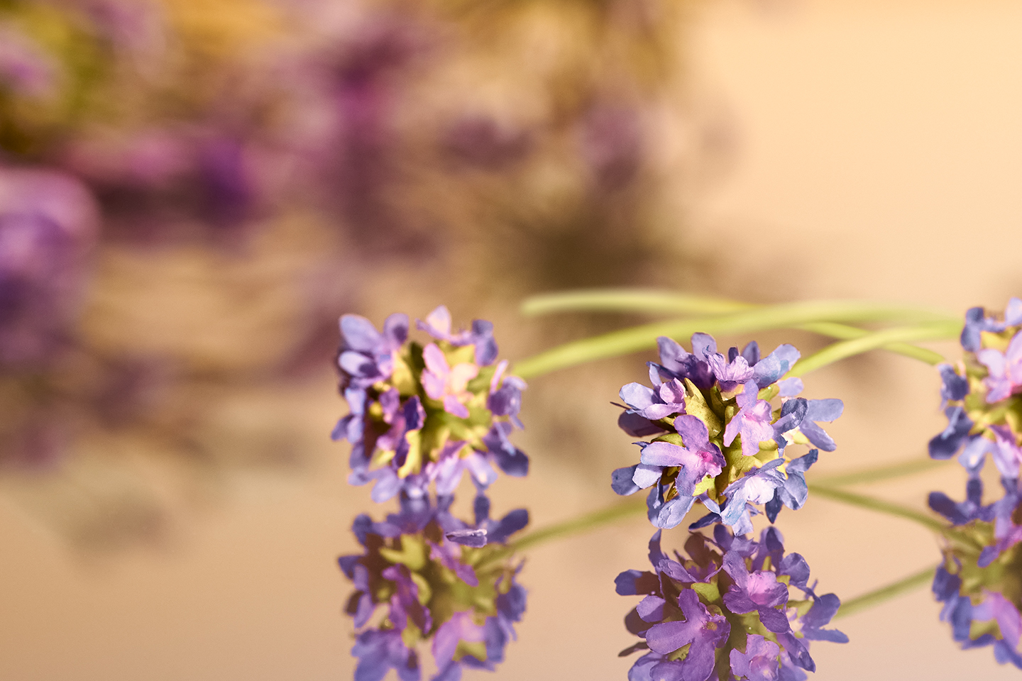 018-2022-Q2-VITC-GLOWING-SKIN-200pc-DESKTOP